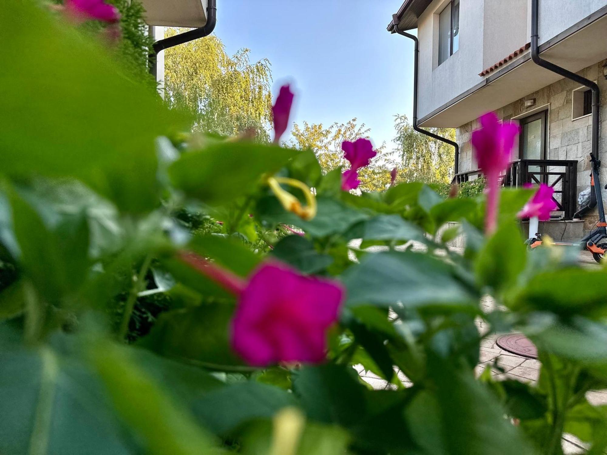 Menada Imperial Heights Villas Sunny Beach Dış mekan fotoğraf